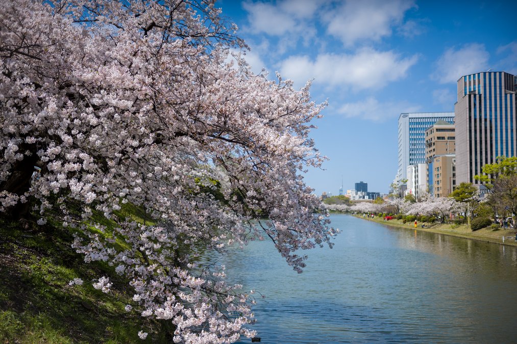2026 福岡自由行 (上)
